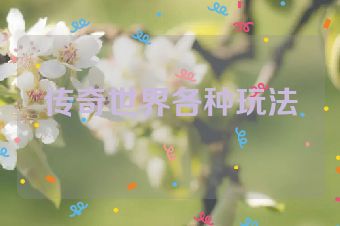 传奇世界各种玩法