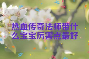 热血传奇法师带什么宝宝厉害点最好