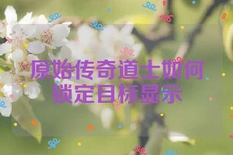 原始传奇道士如何锁定目标显示