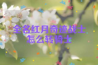 全名红月奇迹战士怎么转骑士