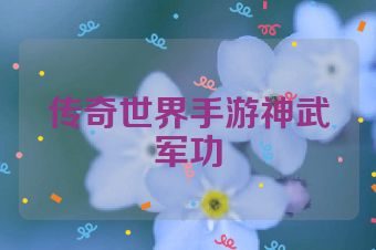 传奇世界手游神武军功
