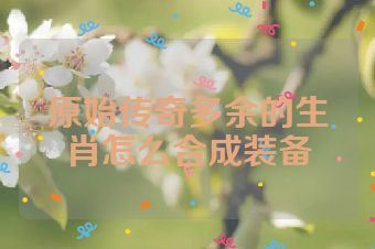 原始传奇多余的生肖怎么合成装备