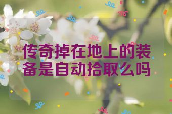 传奇掉在地上的装备是自动拾取么吗