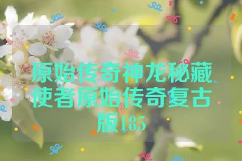 原始传奇神龙秘藏使者原始传奇复古版185