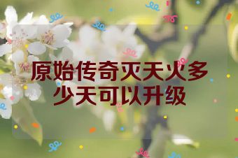 原始传奇灭天火多少天可以升级