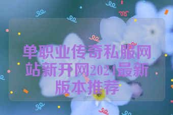 单职业传奇私服网站新开网2024最新版本推荐