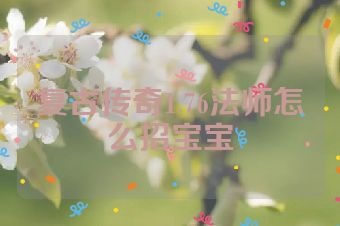 复古传奇1.76法师怎么招宝宝