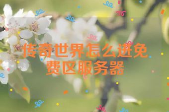 传奇世界怎么进免费区服务器