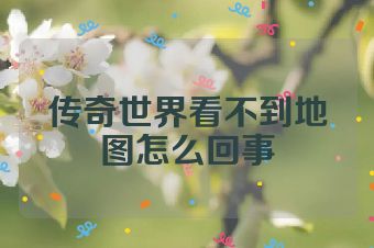 传奇世界看不到地图怎么回事
