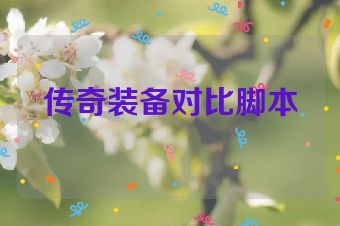 传奇装备对比脚本