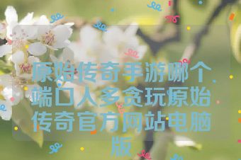 原始传奇手游哪个端口人多贪玩原始传奇官方网站电脑版