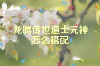 龙腾传世道士元神怎么搭配