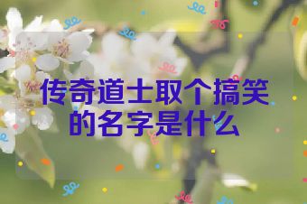 传奇道士取个搞笑的名字是什么