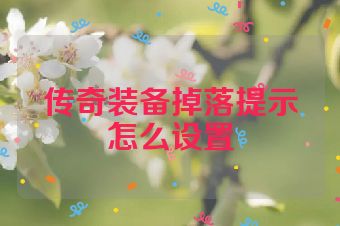 传奇装备掉落提示怎么设置