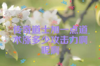传奇道士加一点道术涨多少攻击力啊呢啊