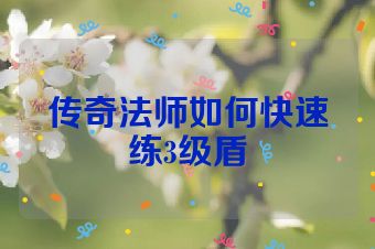 传奇法师如何快速练3级盾