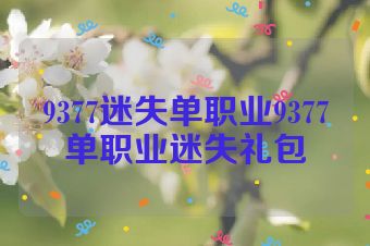 9377迷失单职业9377单职业迷失礼包