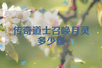 传奇道士召唤月灵多少级