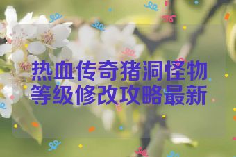 热血传奇猪洞怪物等级修改攻略最新