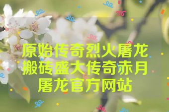原始传奇烈火屠龙搬砖盛大传奇赤月屠龙官方网站