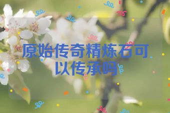 原始传奇精炼石可以传承吗