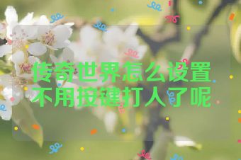 传奇世界怎么设置不用按键打人了呢