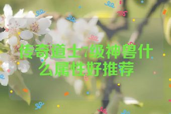 传奇道士7级神兽什么属性好推荐
