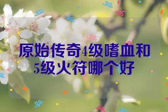 原始传奇4级嗜血和5级火符哪个好