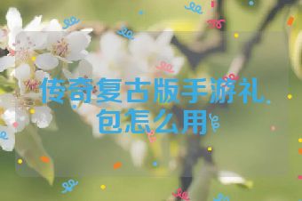 传奇复古版手游礼包怎么用