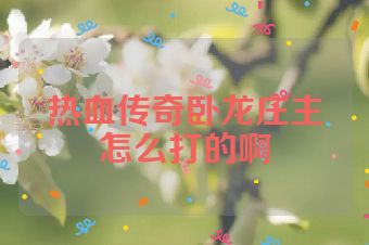 热血传奇卧龙庄主怎么打的啊