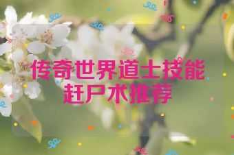 传奇世界道士技能赶尸术推荐