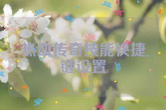 热血传奇技能快捷键设置