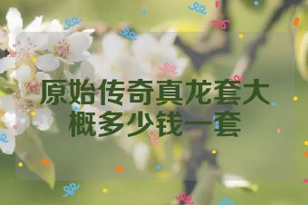 原始传奇真龙套大概多少钱一套