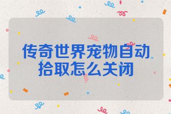 传奇世界宠物自动拾取怎么关闭