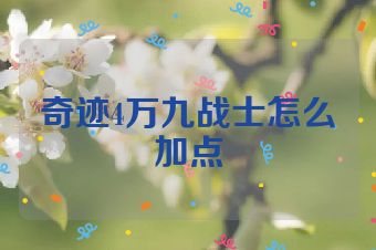 奇迹4万九战士怎么加点