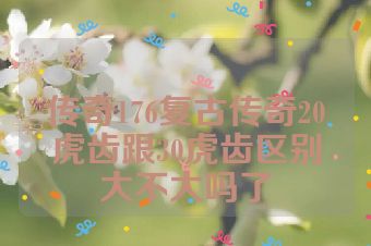 传奇176复古传奇20虎齿跟30虎齿区别大不大吗了
