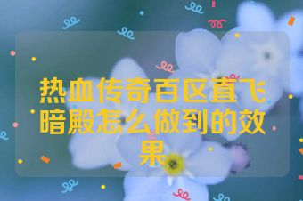 热血传奇百区直飞暗殿怎么做到的效果