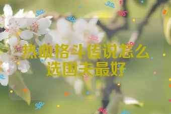 热血格斗传说怎么选国夫最好