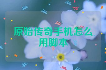 原始传奇手机怎么用脚本