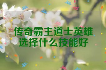 传奇霸主道士英雄选择什么技能好