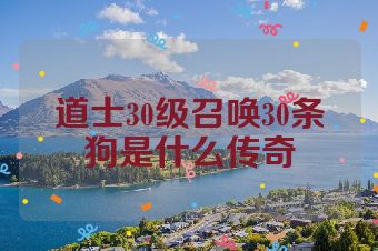 道士30级召唤30条狗是什么传奇