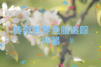 传奇世界全服追踪神器