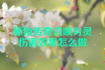 原始传奇召唤月灵伤害效果怎么做