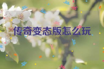 传奇变态版怎么玩