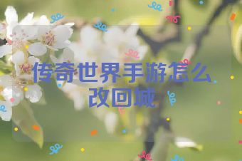 传奇世界手游怎么改回城