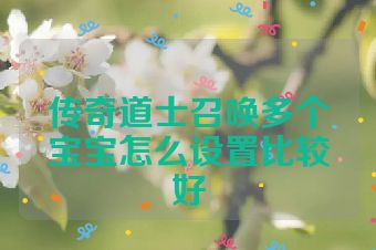 传奇道士召唤多个宝宝怎么设置比较好
