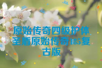 原始传奇四级护体圣盾原始传奇185复古版