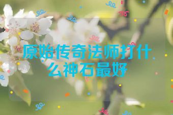 原始传奇法师打什么神石最好