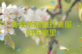 传奇单职业打金服吗在哪里