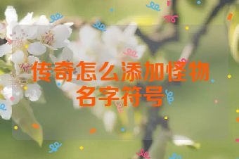传奇怎么添加怪物名字符号